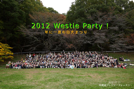 2012-WPsyuugou540